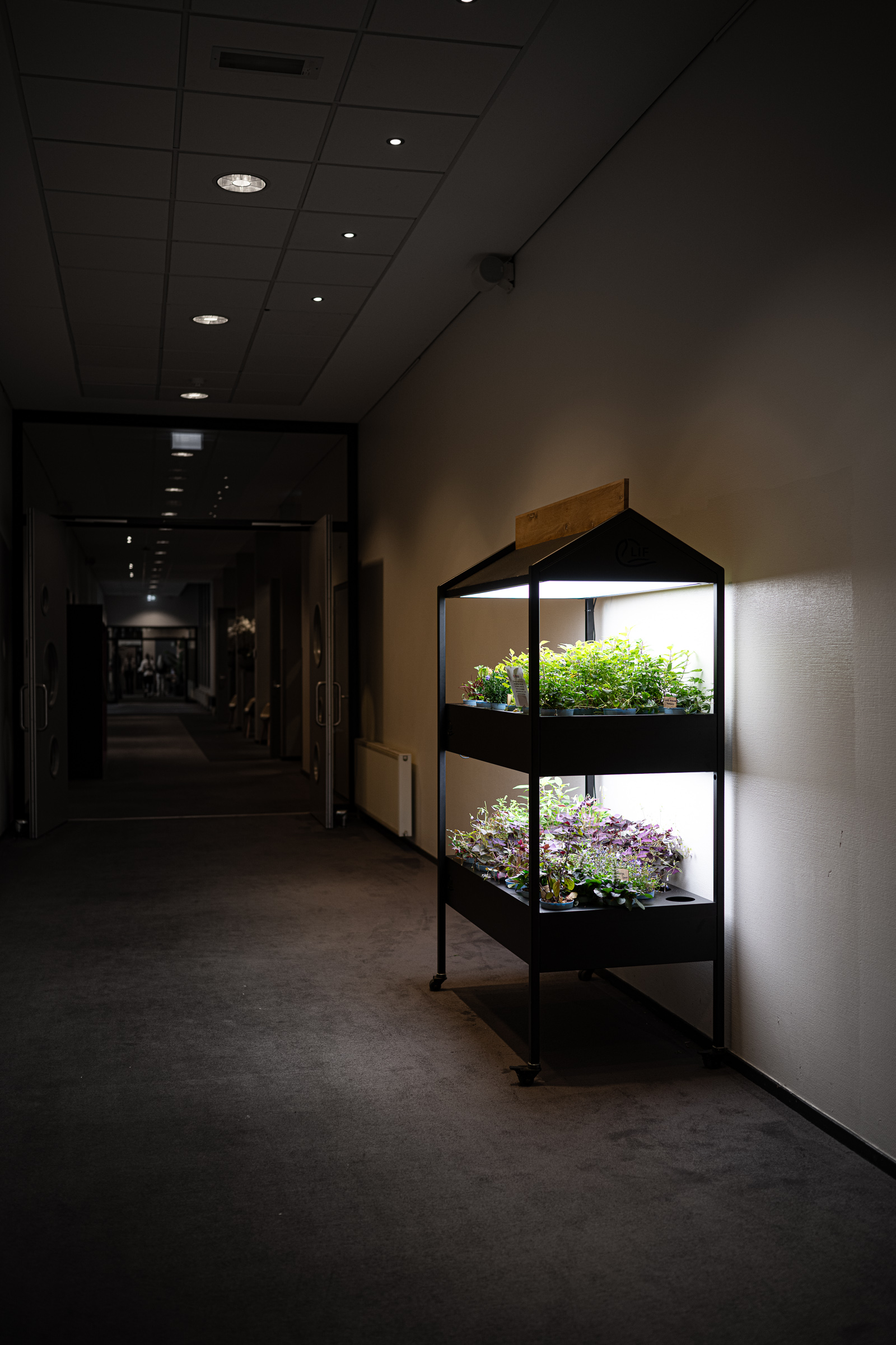 Some Alternative Text